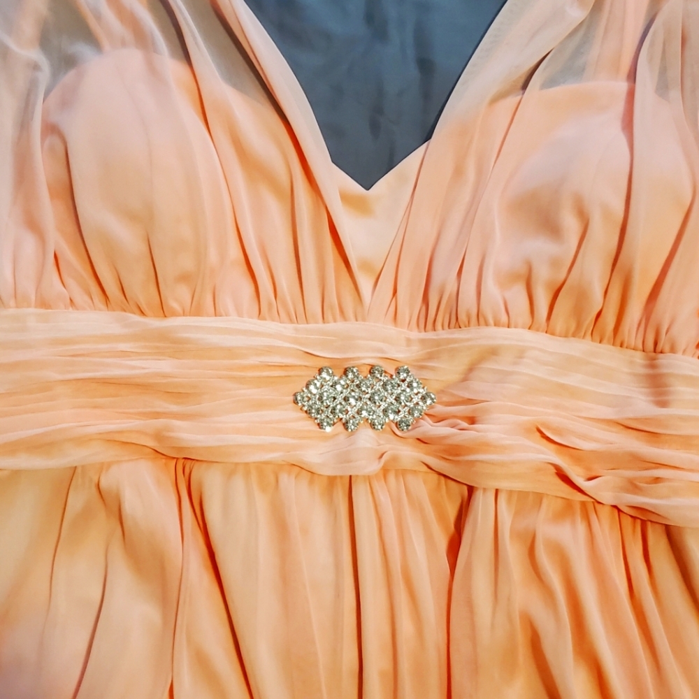 Blush Formal Gown/Bridesmaid/Prom Dress, Size 4X